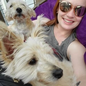 Meet your Posher, Holly